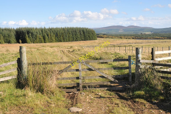 Photo 6"x4" Track to Loch Bunachton Clachindruim c2010