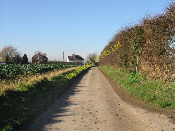 Photo 6"x4" View along lane towards Cop Street Road Cop Street c2007
