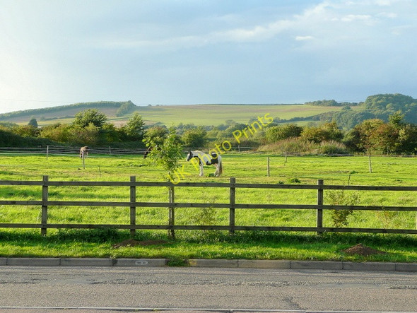 Photo 6"x4" View to Sandhurst Hill Down Hatherley c2010