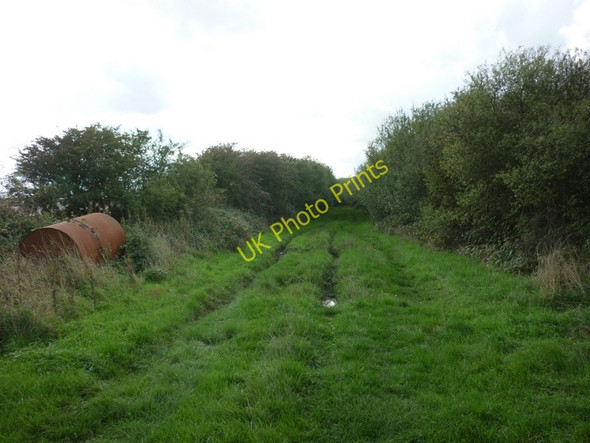 Photo 6"x4" A Green Lane near Sigglesthorne Grange Seaton\/TA1646 c2010