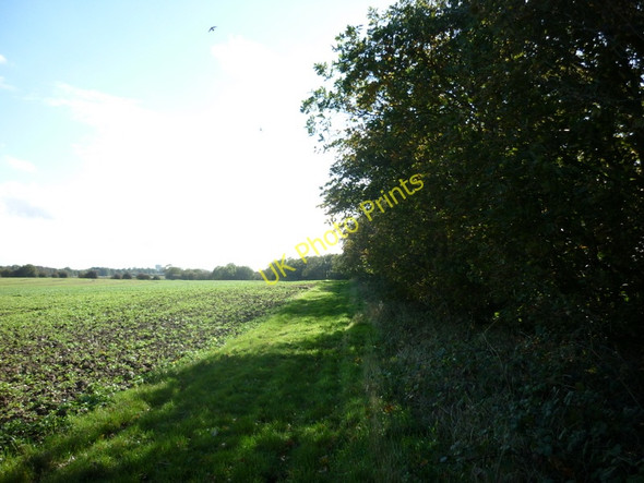 Photo 6"x4" Weatherhill Plantation towards Goxhill Seaton\/TA1646 c2010
