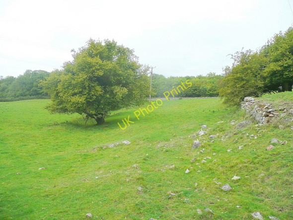 Photo 6"x4" Pasture at Abbotside Cromhall c2010