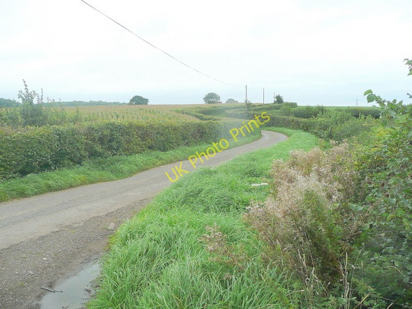 Photo 6"x4" Brinkmarsh Lane Whitfield\/ST6791 c2010