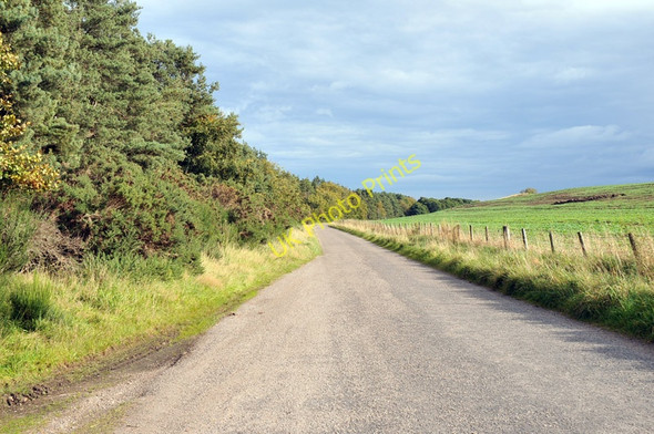 Photo 6"x4" Road from Nairn to Kintessack near Cloddymoss Cloddymoss c2010