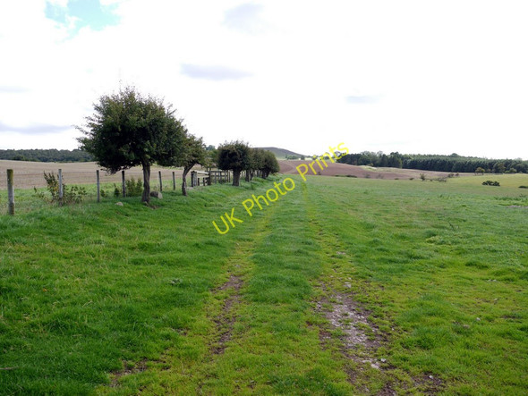 Photo 6"x4" Bridleway south of Beanley Beanley c2010