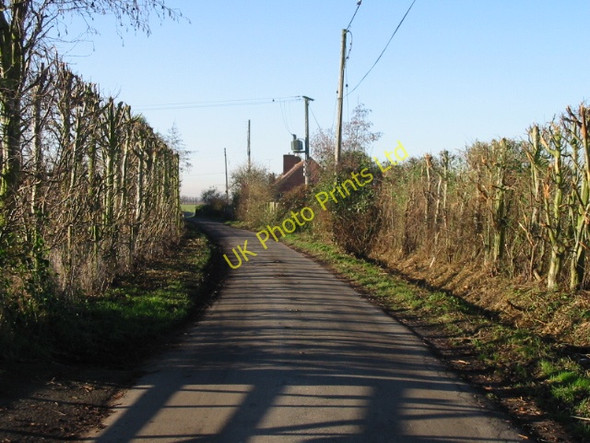 Photo 6"x4" View along lane in Westmarsh Westmarsh c2007