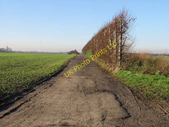 Photo 6"x4" Tree lined farm road near Westmarsh Westmarsh c2007