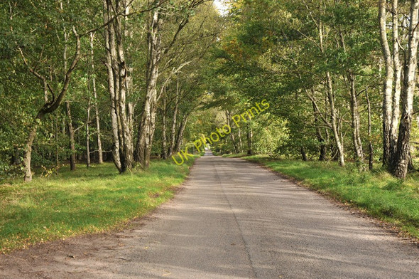 Photo 6"x4" Minor road near Westfield College of Roseisle c2010