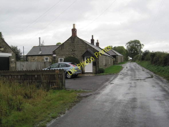 Photo 6"x4" Welton Farm Cottages Harlow Hill\/NZ0768 c2010