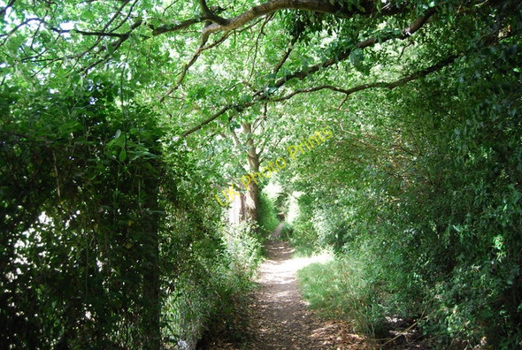 Photo 6"x4" Footpath parallel with Wyphurst Rd Cranleigh c2010
