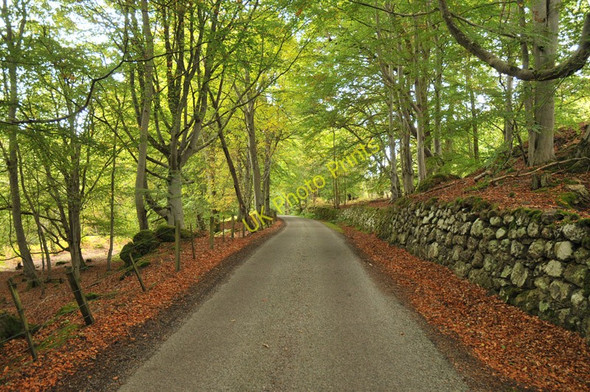 Photo 6"x4" Minor road near Kilmuir Kilmuir\/NH6749 c2010