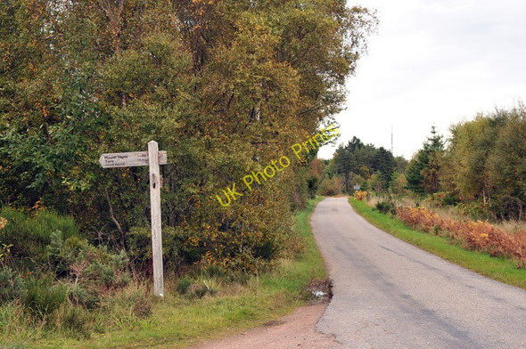 Photo 6"x4" Road to Eathie near Muirhead Wood Raddery c2010