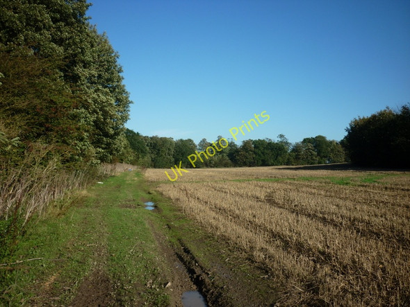 Photo 6"x4" Looking towards North Plantation, Norwood Marton\/TA1739 c2010
