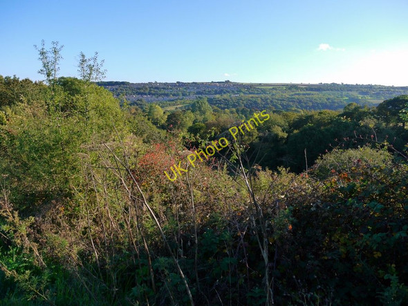 Photo 6"x4" View over Whittle Dene Prudhoe c2010