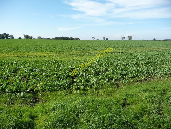 Photo 6"x4" Green and blue off Easby Lane Easby\/NZ5708 c2010