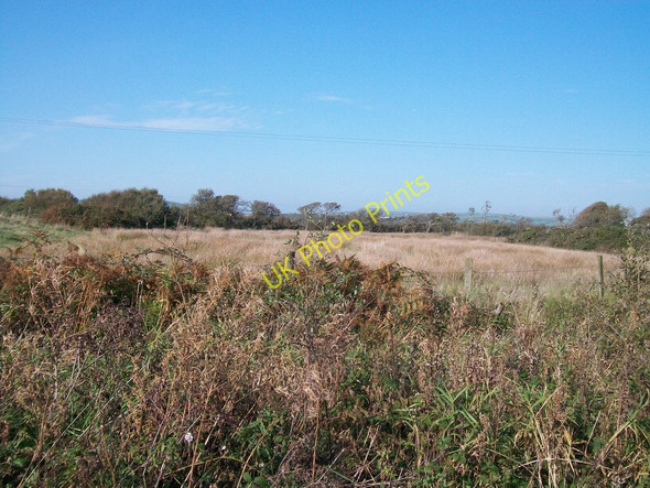 Photo 6"x4" Bogland at Rhosneigwl Botwnnog c2010