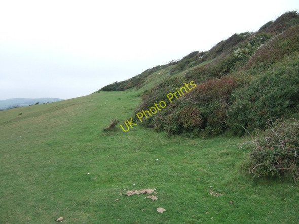 Photo 6"x4" Scrub on Red Cliff Yaverland\/SZ6185 c2010