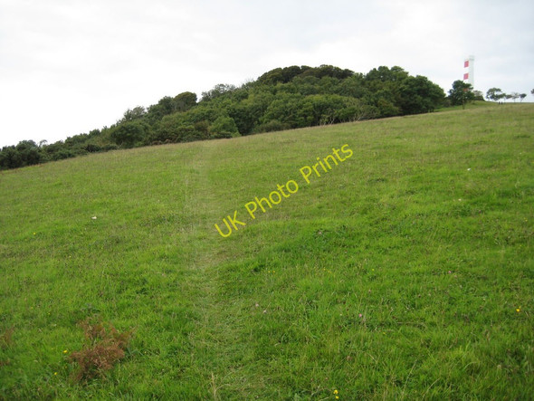 Photo 6"x4" The eastern slopes of Gribbin Head Fowey c2010