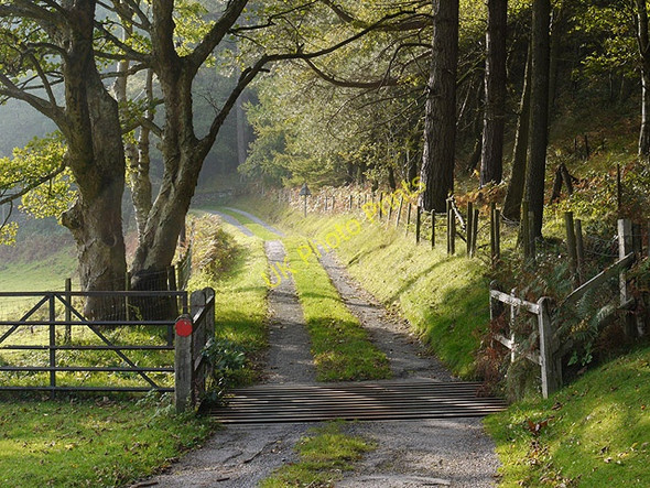 Photo 6"x4" Cattle grid above Cymerau Glandyfi c2010