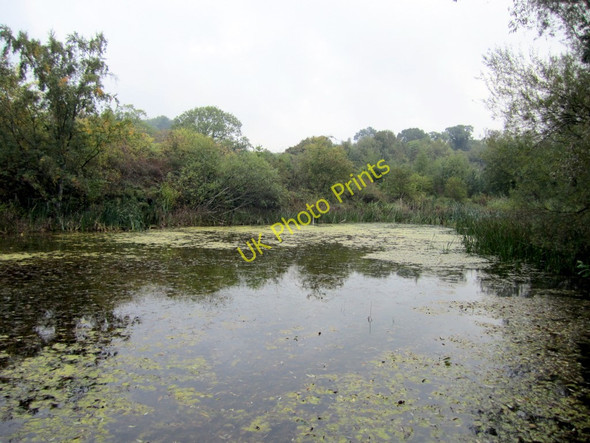 Photo 6"x4" Reigh Pond, east end Ryton\/NZ1564 c2010