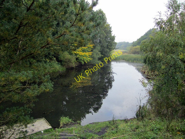 Photo 6"x4" West end of Reith Pond Ryton\/NZ1564 c2010