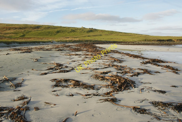 Photo 6"x4" Kelp on Easting beach Mailand c2010