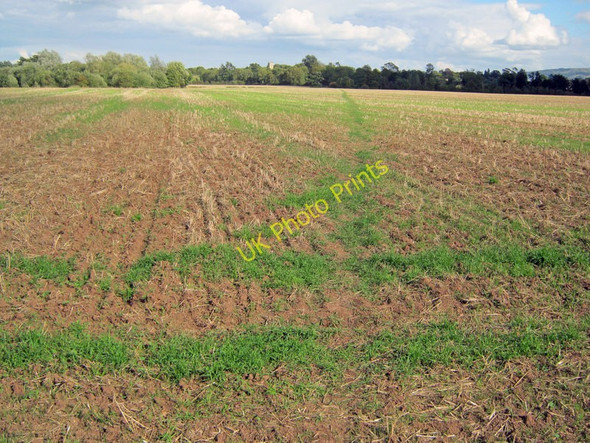 Photo 6"x4" Arable field near High Green High Green\/SO8745 c2010