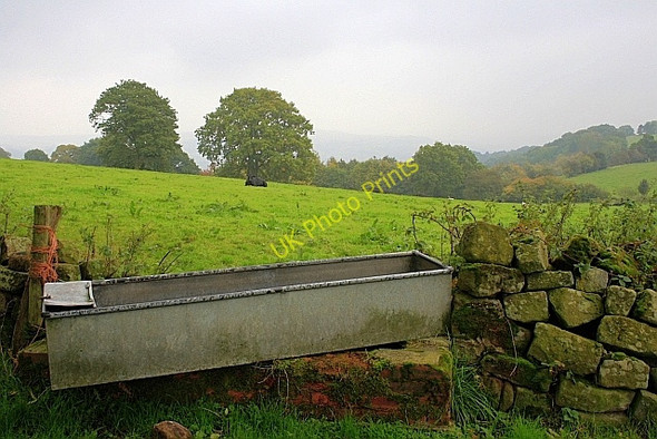 Photo 6"x4" Cattle Trough and Pasture, Near Barn Farm Birchover c2010