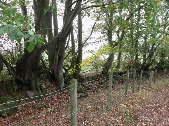 Photo 6"x4" March dyke Millheugh\/NS7551 c2010