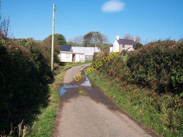 Photo 6"x4" Approaching Penrhyn Isaf farm Llaniestyn c2010