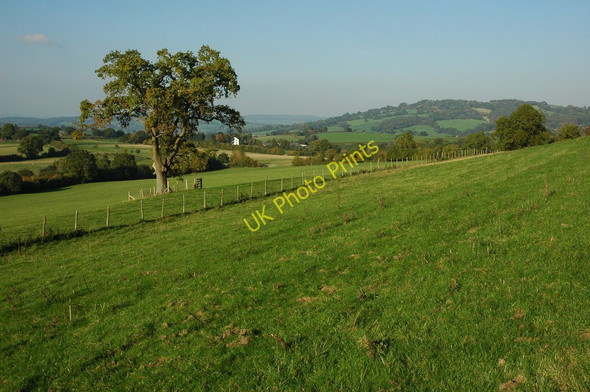 Photo 6"x4" Farmland north of Gaer Wood Cwmcarvan c2010 P1