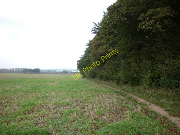 Photo 6"x4" Looking down Long Plantation, North Ferriby North Ferriby c2010