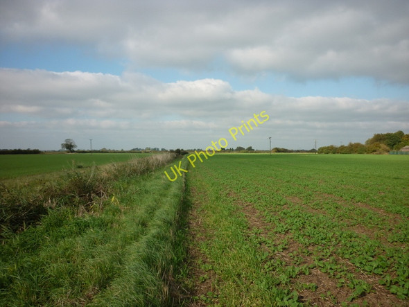 Photo 6"x4" Heading North near Providence Farm Broomfleet c2010