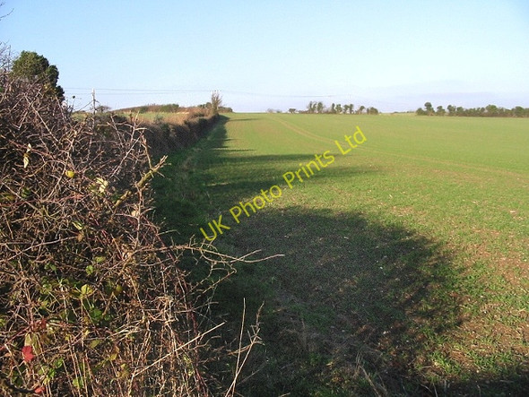 Photo 6"x4" View along field boundary on Church Hill, Sutton Sutton\/TR3349 c2007