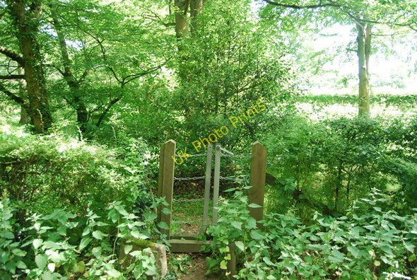 Photo 6"x4" Stile off Green Lane, Piggott's Wood Cooper's Corner\/TQ4849 c2010