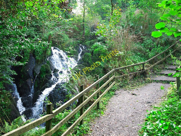 Photo 6"x4" Autumn at Crawfordsburn Crawfordsburn c2010 P2