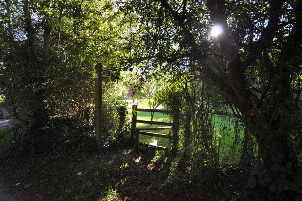 Photo 6"x4" A footpath from Lower Winsham to Hawcombe Lane Knowle\/SS4938 c2010