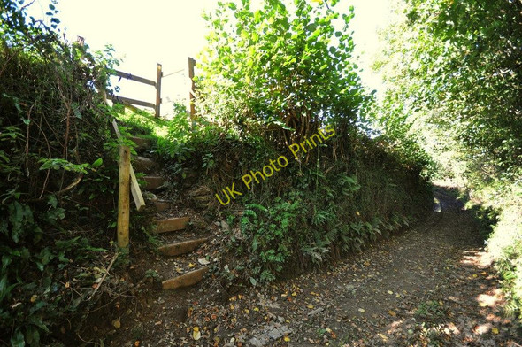 Photo 6"x4" A footpath leaving Hawcombe Lane Knowle\/SS4938 c2010