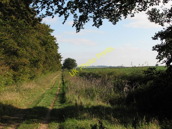 Photo 6"x4" The Roman Road Babraham c2010