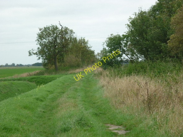 Photo 6"x4" A Green Lane near Ousefleet Ousefleet c2010