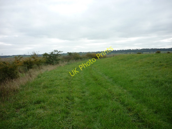 Photo 6"x4" The river path turns right to follow the River Trent south Adlingfleet c2010