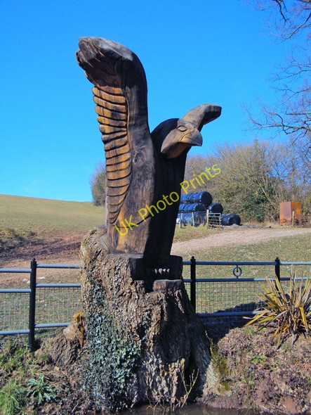 Photo 6"x4" Carved eagle at Tre-llwyfan Upper Green\/SO3818 c2010
