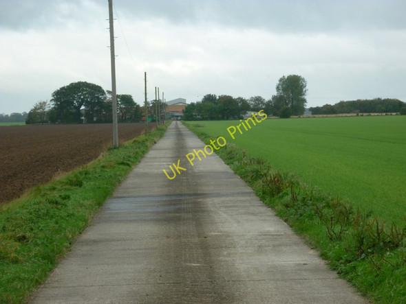 Photo 6"x4" Winestead Farm, Sunk Island Sunk Island c2010