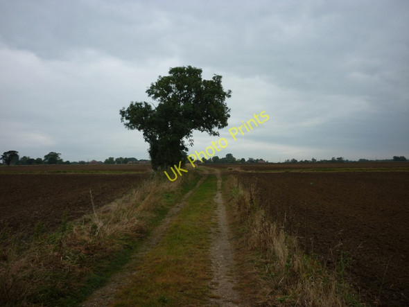 Photo 6"x4" The Howden 20 towards Asselby Asselby c2010