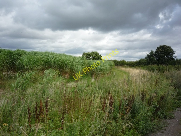 Photo 6"x4" End of Hagg Lane Youlton c2010