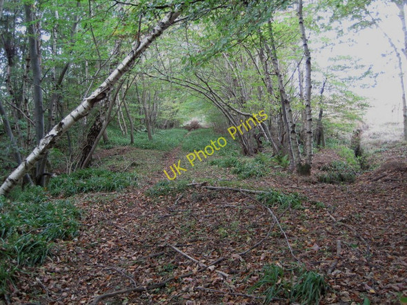 Photo 6"x4" Long-gone railway, Saltoun Gilchriston c2010