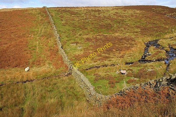 Photo 6"x4" Skeggles Water Dike Green Quarter c2010