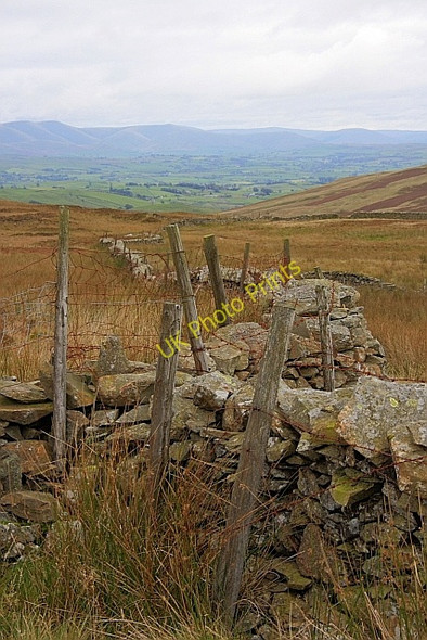 Photo 6"x4" Wall Junction, Sleddale Forest Green Quarter c2010