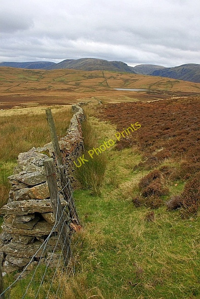 Photo 6"x4" Wall, White Moss Green Quarter c2010