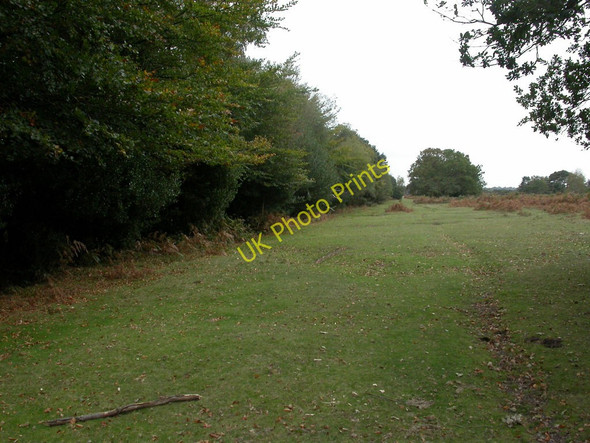 Photo 6"x4" Holmsley, boundary Ossemsley c2010